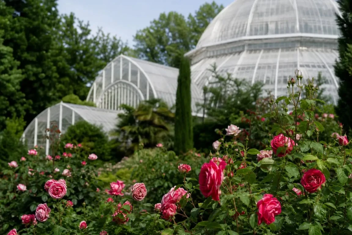 Jardin des plantes Grenoble : roseraie et serres botaniques