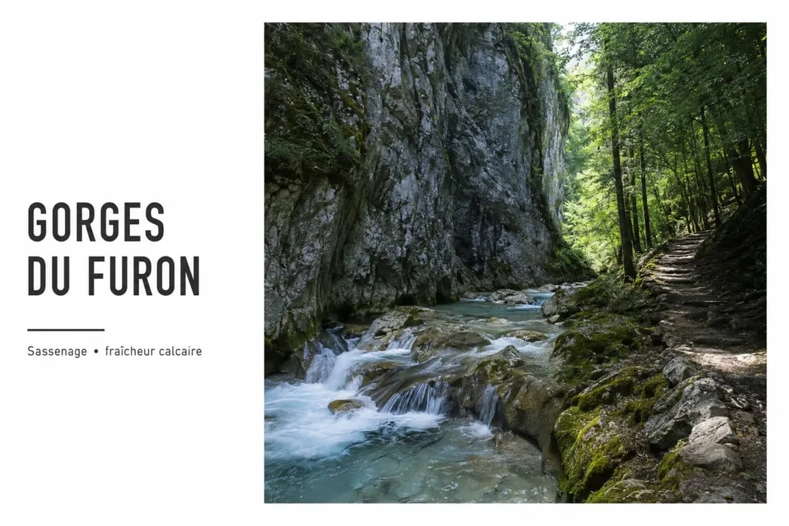 Cascade du furon à Sassenage, torrent encaissé et falaises calcaires dans les gorges